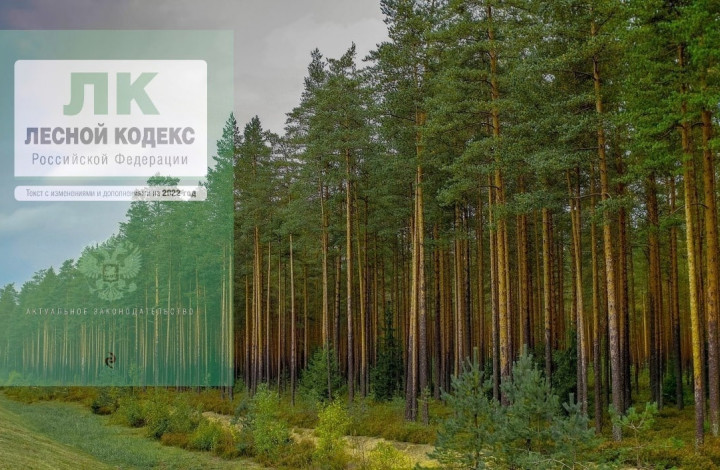 Проект лесной кодекс российской федерации